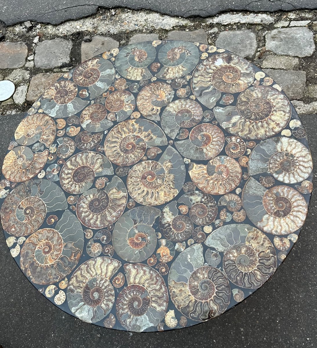 Coffee Table With White Rattan Base And Fossilized Ammonite Tray -photo-2