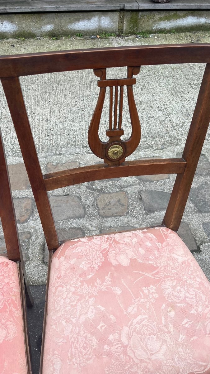 Série De 12 Chaises En Noyer, Début XIXe Siècle, Italie, Style Néoclassique-photo-6