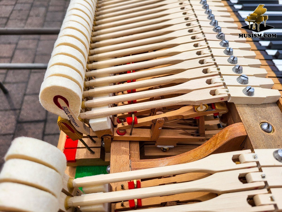  Piano à Queue Schiedmayer 180 Salon – Excellente Qualité Sonore Et Artisanat-photo-1