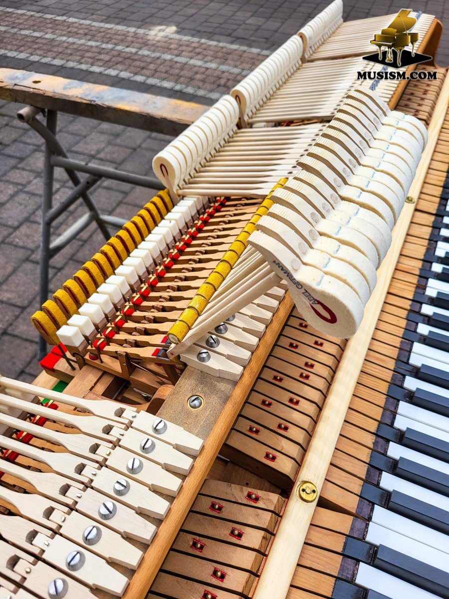  Piano à Queue Schiedmayer 180 Salon – Excellente Qualité Sonore Et Artisanat-photo-2