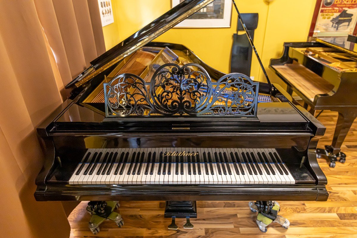 Rare Blüthner Grand Piano Mod. 260 Cm – Hand-polished Rarity-photo-2