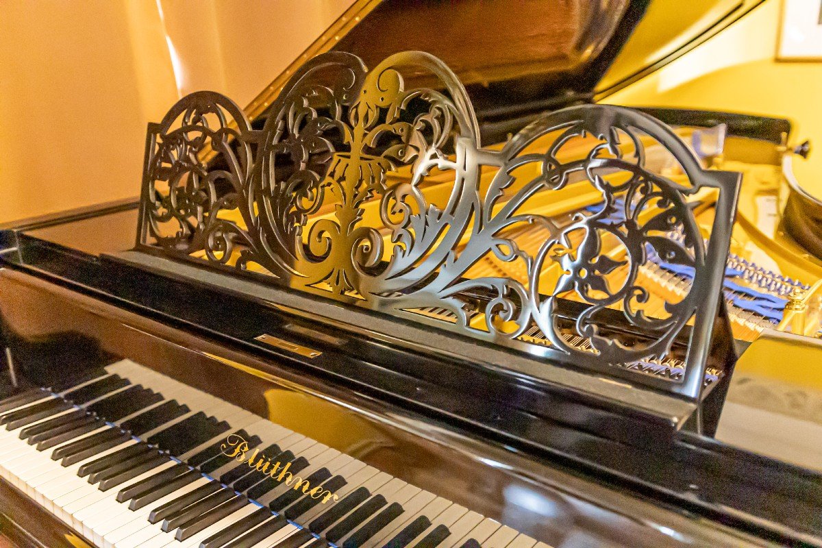 Rare Blüthner Grand Piano Mod. 260 Cm – Hand-polished Rarity-photo-2