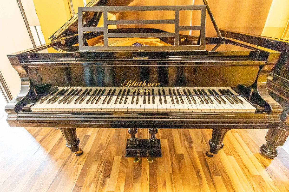 Blüthner Grand Piano Mod. 190 – Classic Sound From Leipzig-photo-2