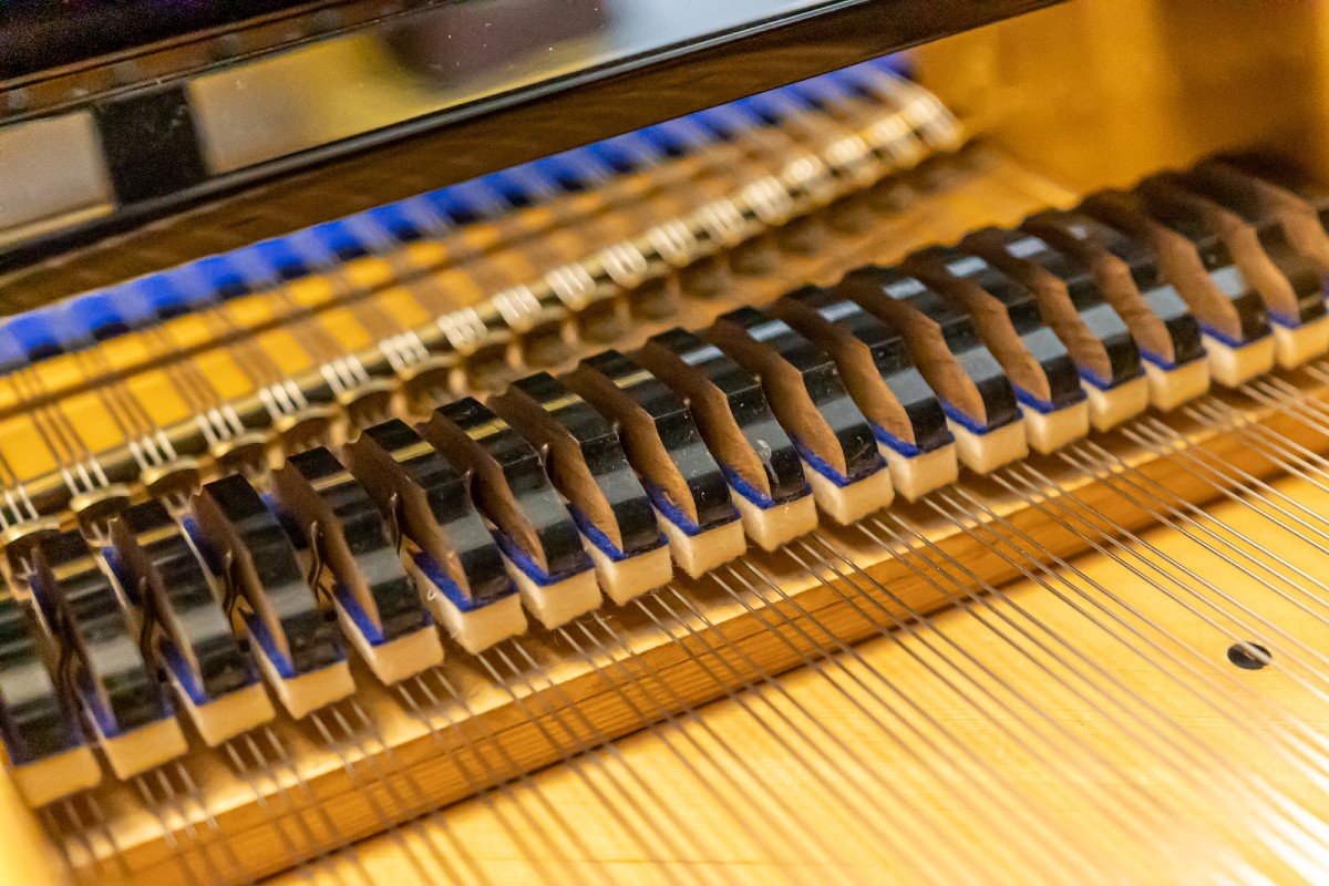 Blüthner Grand Piano Mod. 190 – Classic Sound From Leipzig-photo-4