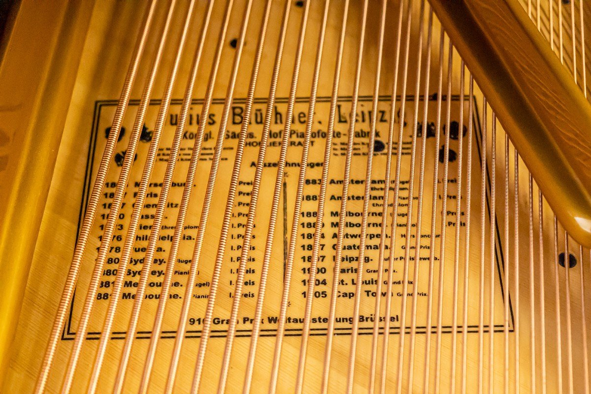 Blüthner Grand Piano Mod. 190 – Classic Sound From Leipzig-photo-8