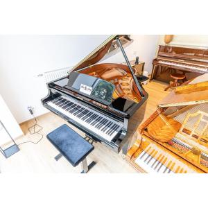 Renovated Bösendorfer Grand Piano Mod. 170 Vienna Year 1991/92