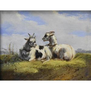 Albertus Verhoesen (1806-1881), Two Goats, Oil On Panel, Signed