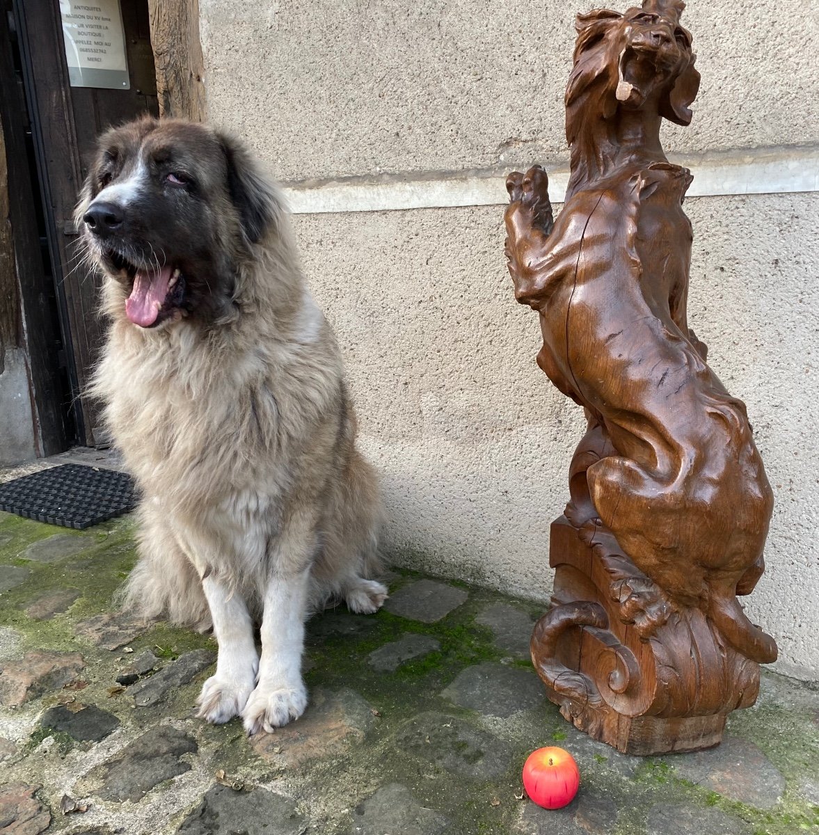 Lion Rugissant En Chêne Monoxyle , Départ D’escalier Fin Du XIX Eme Siècle -photo-7