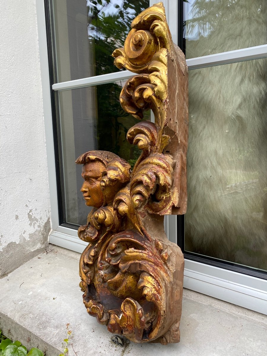 Fauna Head Amidst Acanthus Leaves, Large Element In Golden Wood-photo-4