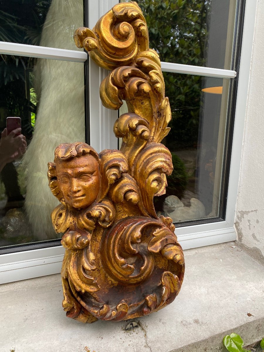 Fauna Head Amidst Acanthus Leaves, Large Element In Golden Wood-photo-5