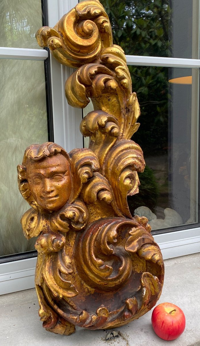 Fauna Head Amidst Acanthus Leaves, Large Element In Golden Wood