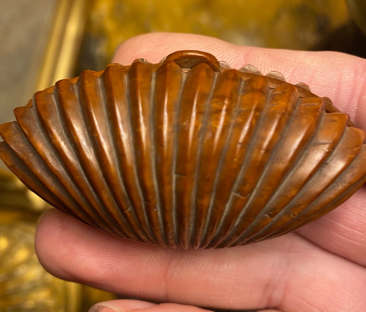 Tabatière En Buis En Forme De Coquillage, Début Du XIX Eme Siècle -photo-3