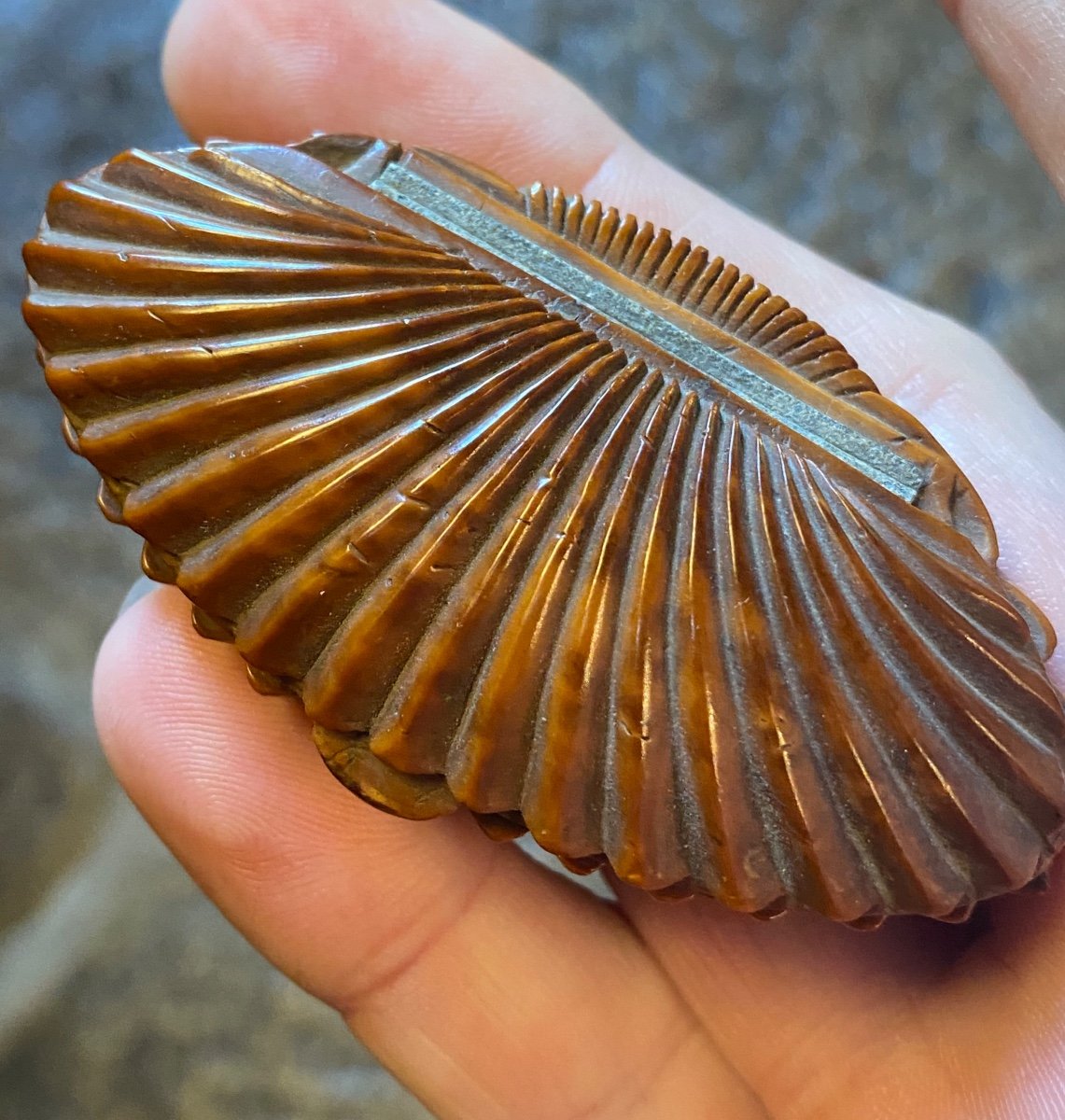 Tabatière En Buis En Forme De Coquillage, Début Du XIX Eme Siècle -photo-4