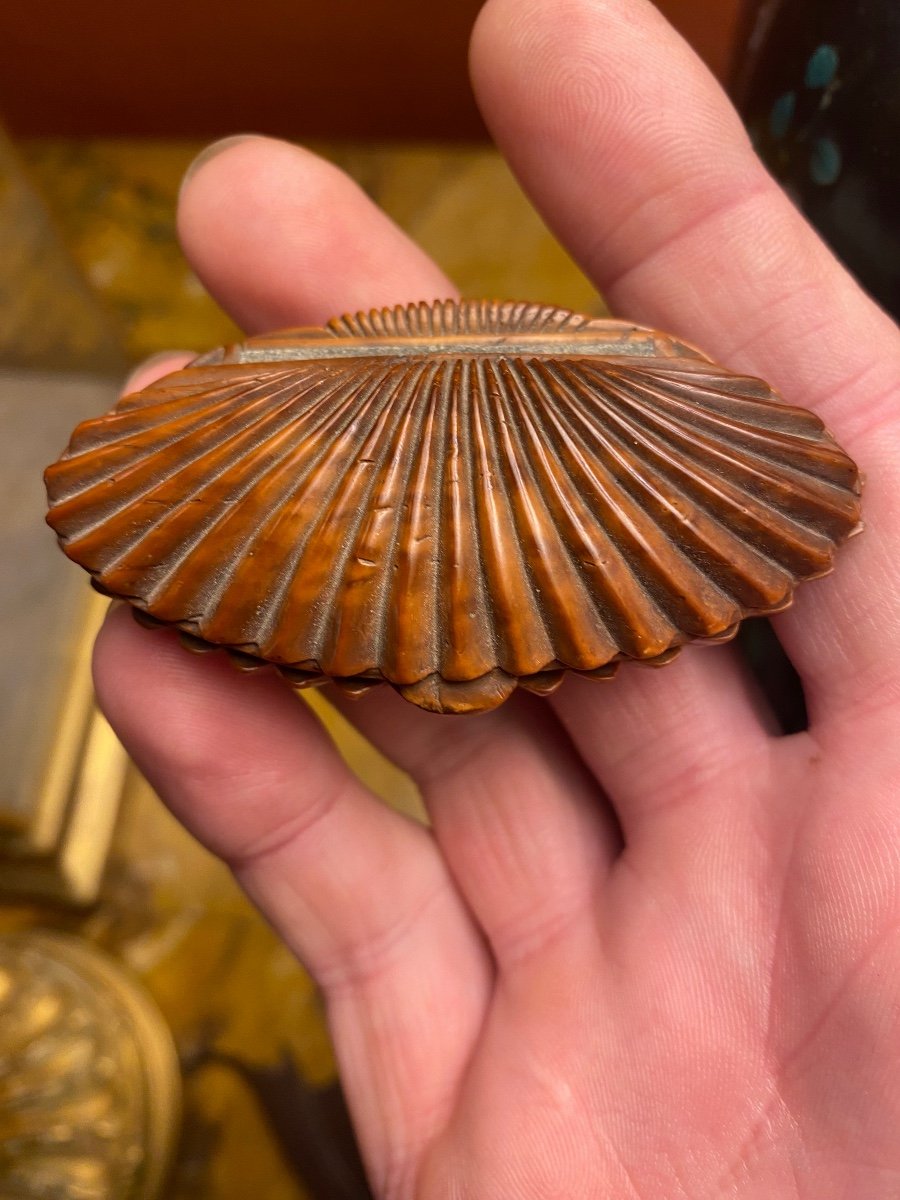 Tabatière En Buis En Forme De Coquillage, Début Du XIX Eme Siècle -photo-7