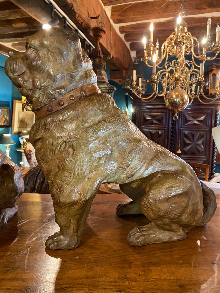 Pair Of English Bulldogs In Polychrome Terracotta From The 19th Century -photo-3