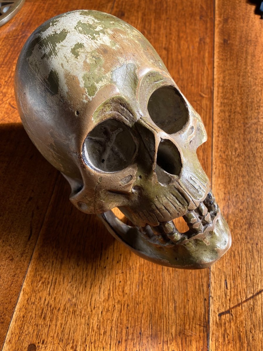 Large German Skull In Polychrome Carved Wood From The Early 19th Century -photo-2