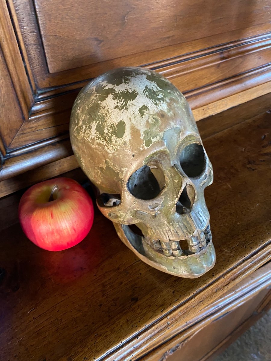 Large German Skull In Polychrome Carved Wood From The Early 19th Century -photo-3