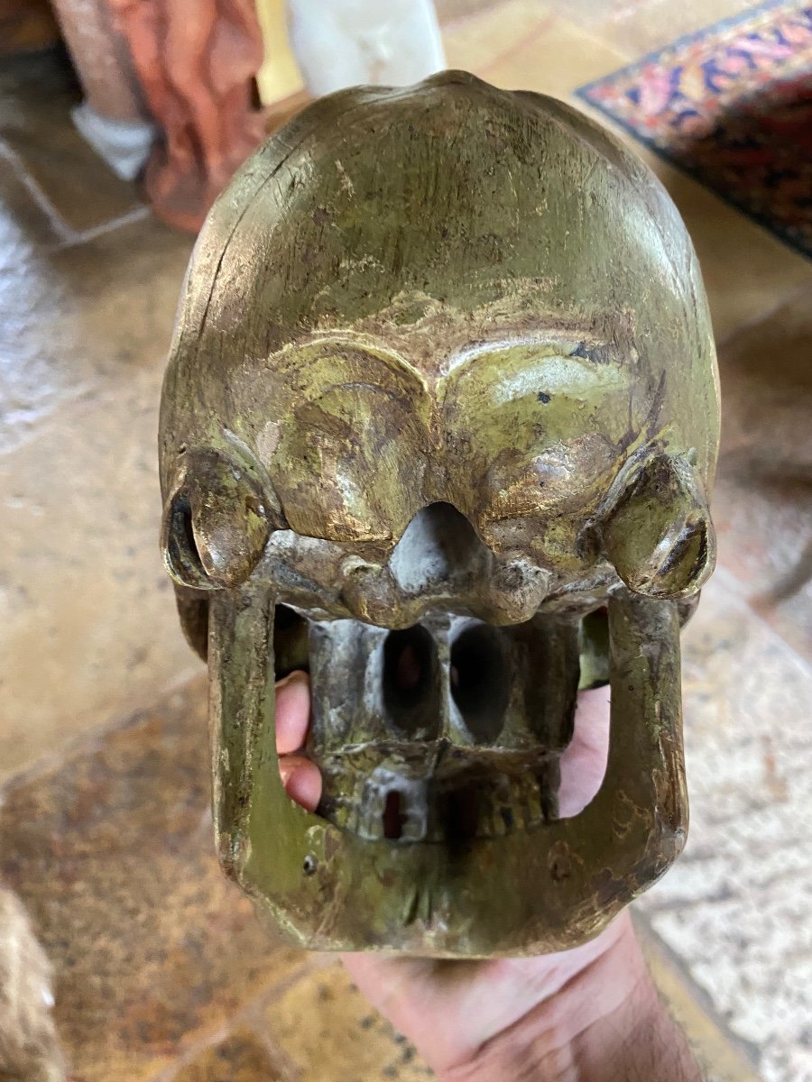 Large German Skull In Polychrome Carved Wood From The Early 19th Century -photo-4