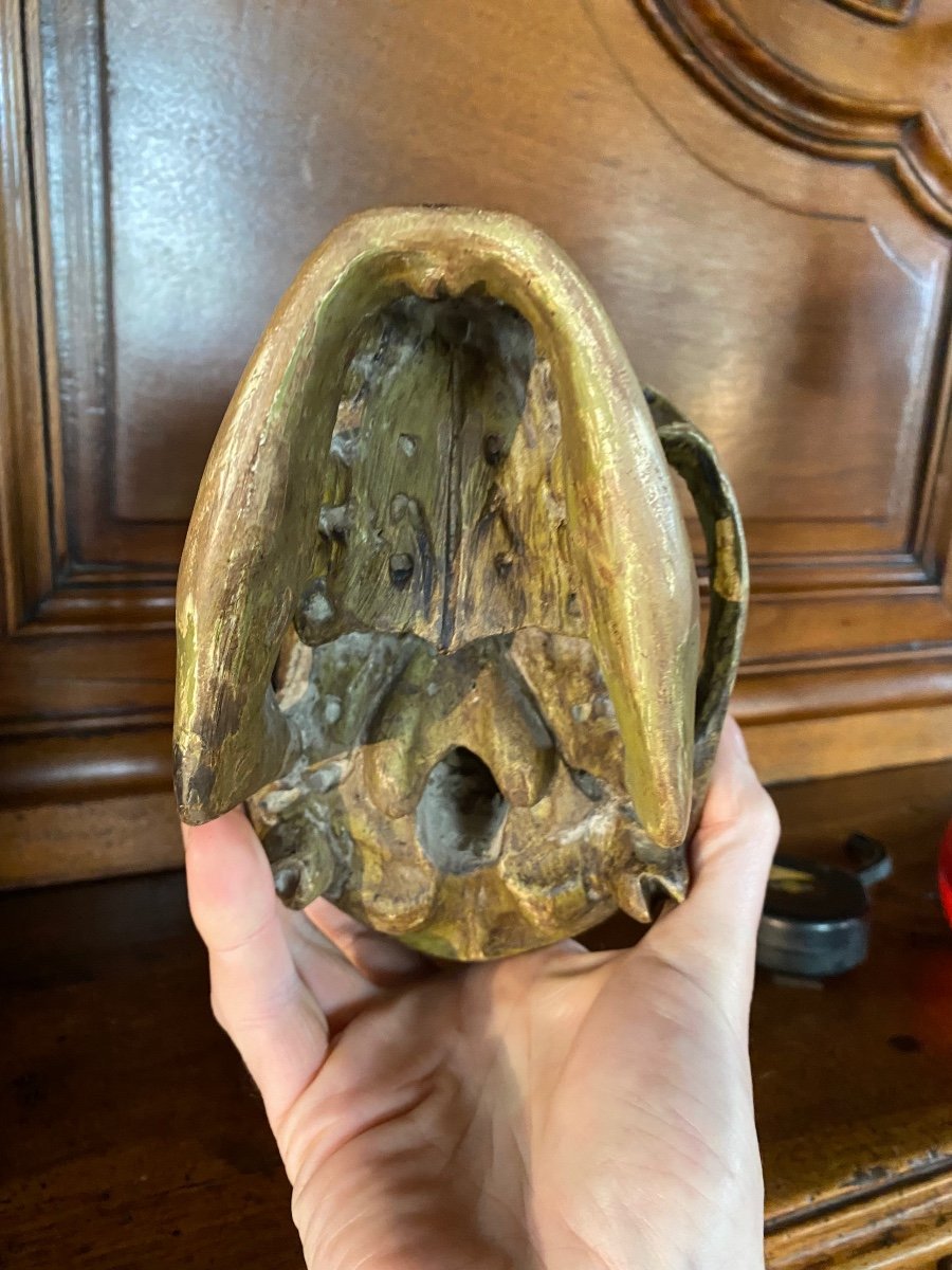 Large German Skull In Polychrome Carved Wood From The Early 19th Century -photo-1