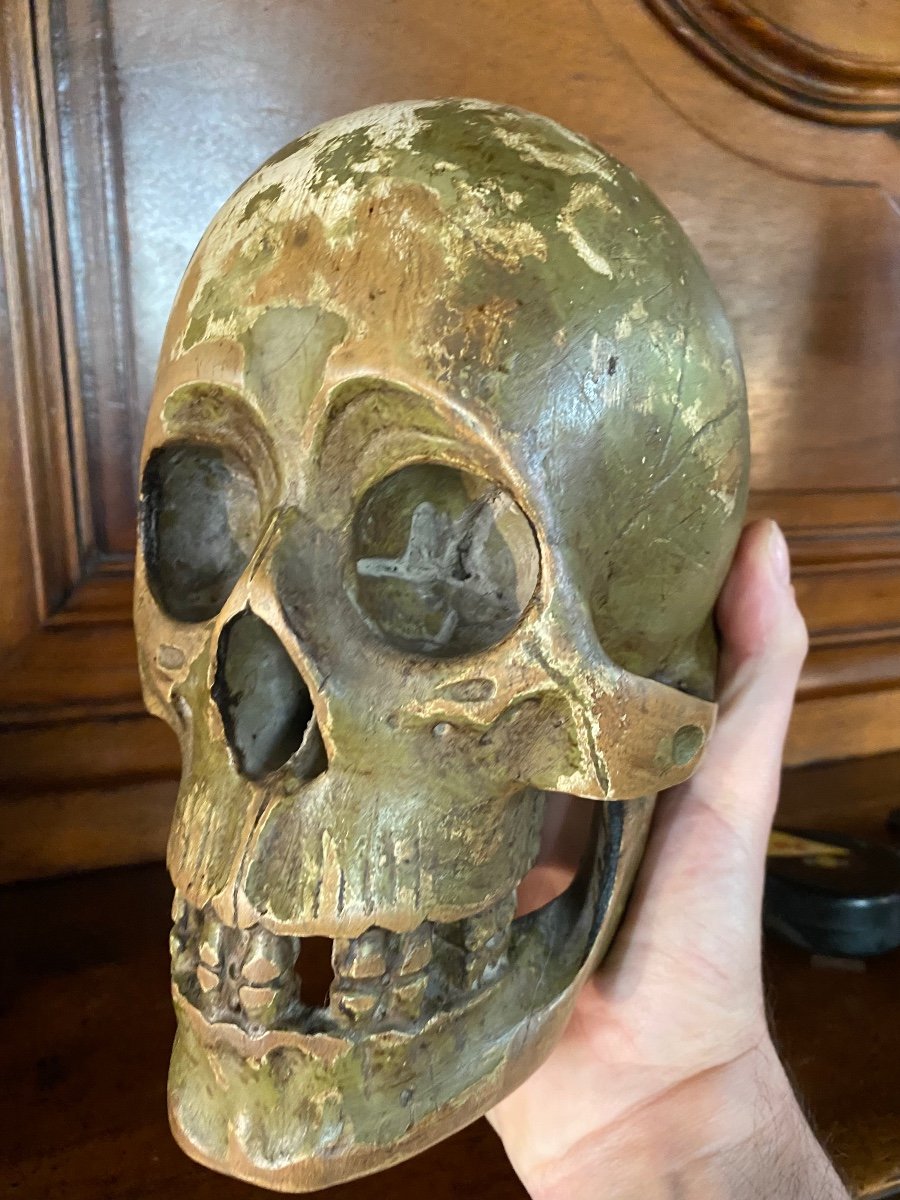 Large German Skull In Polychrome Carved Wood From The Early 19th Century -photo-2