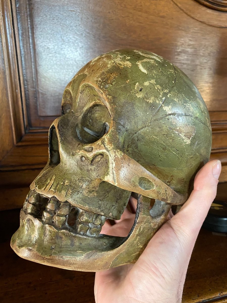 Large German Skull In Polychrome Carved Wood From The Early 19th Century -photo-3