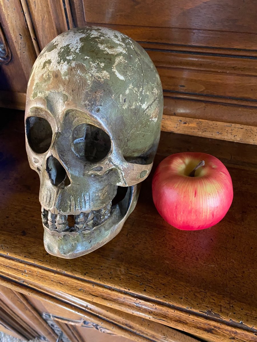 Large German Skull In Polychrome Carved Wood From The Early 19th Century -photo-4