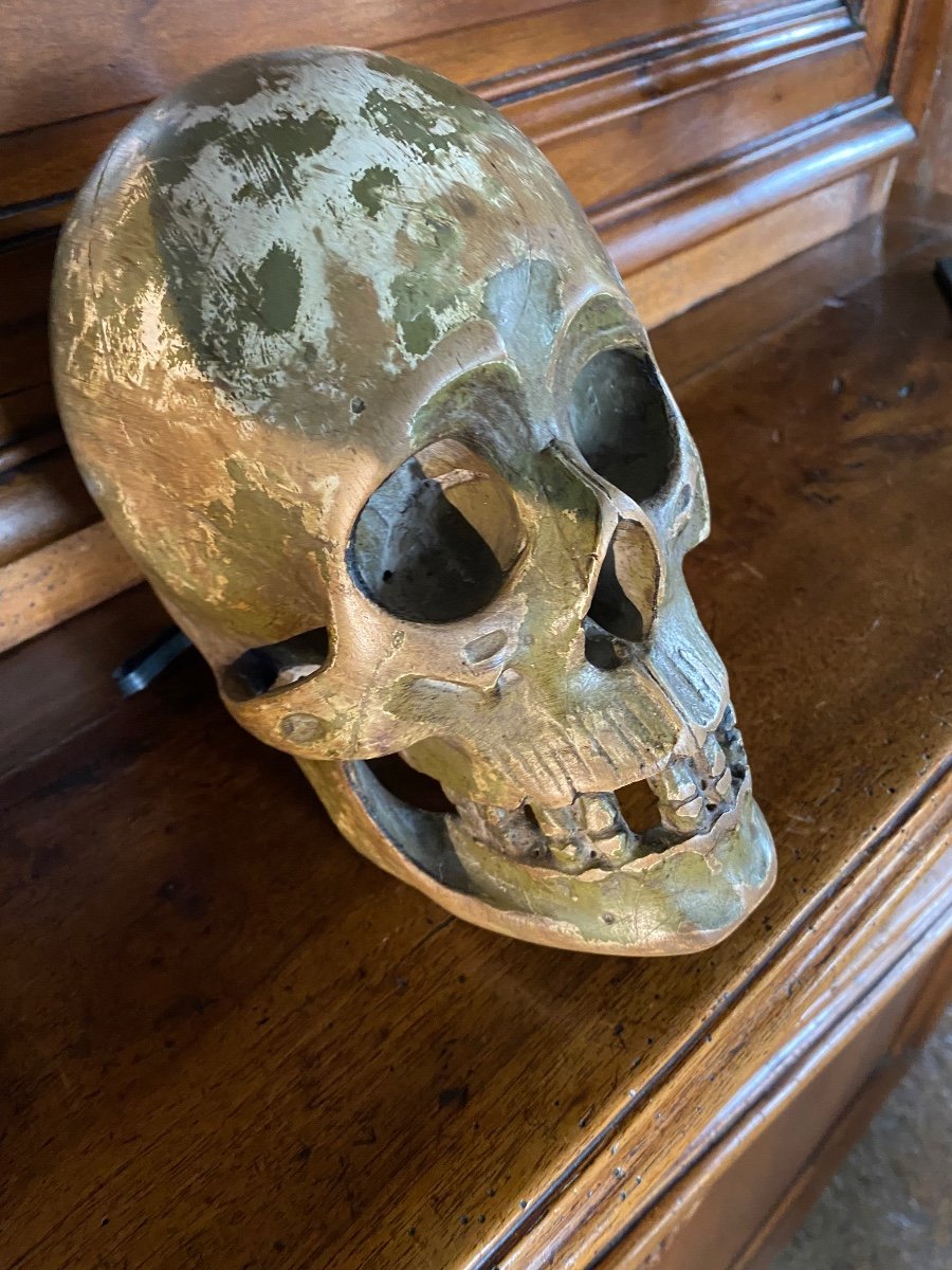 Large German Skull In Polychrome Carved Wood From The Early 19th Century -photo-5