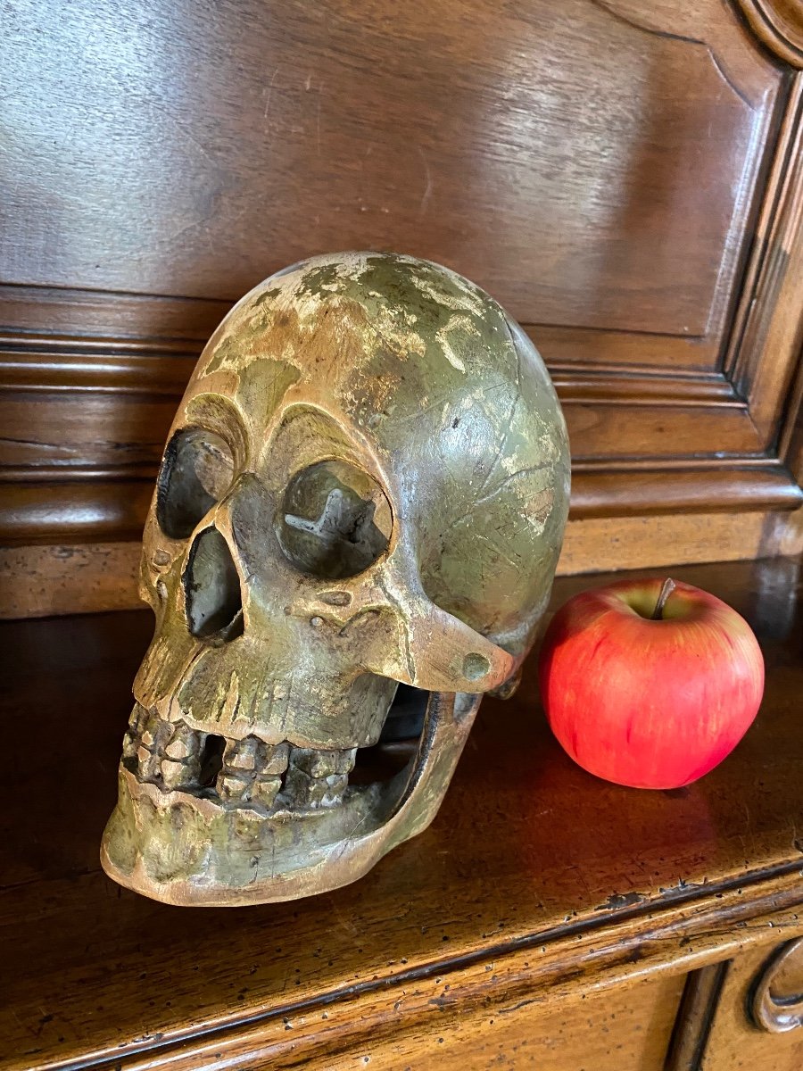 Large German Skull In Polychrome Carved Wood From The Early 19th Century -photo-6