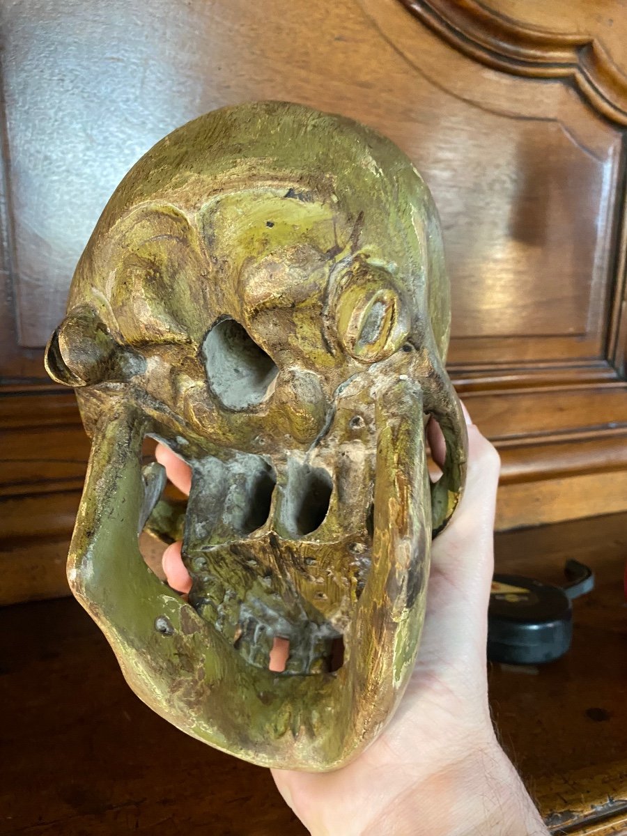 Large German Skull In Polychrome Carved Wood From The Early 19th Century -photo-7