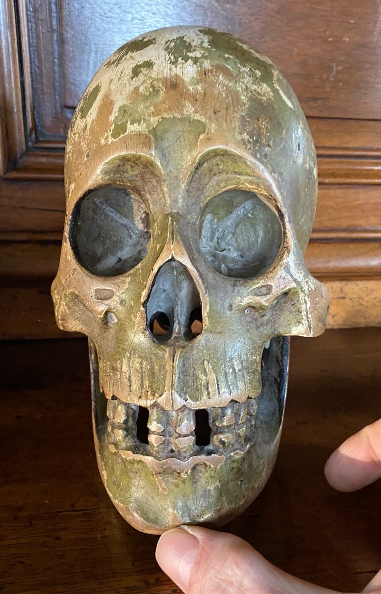 Large German Skull In Polychrome Carved Wood From The Early 19th Century 