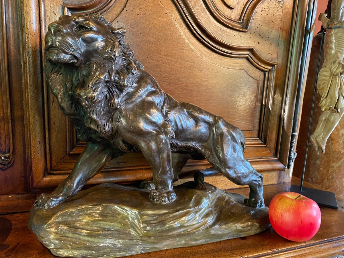 Impressive Terracotta Lion With Two Patinas, Signed -photo-3