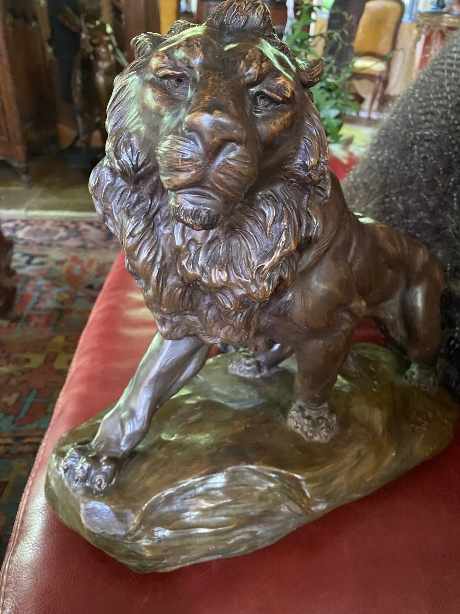 Impressive Terracotta Lion With Two Patinas, Signed -photo-2