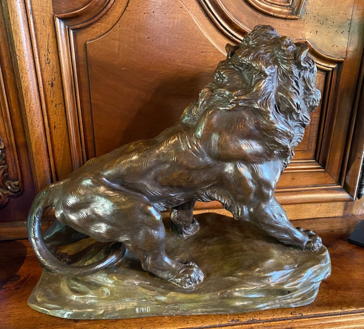 Impressive Terracotta Lion With Two Patinas, Signed -photo-5