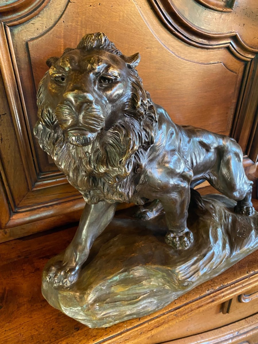 Impressive Terracotta Lion With Two Patinas, Signed -photo-6