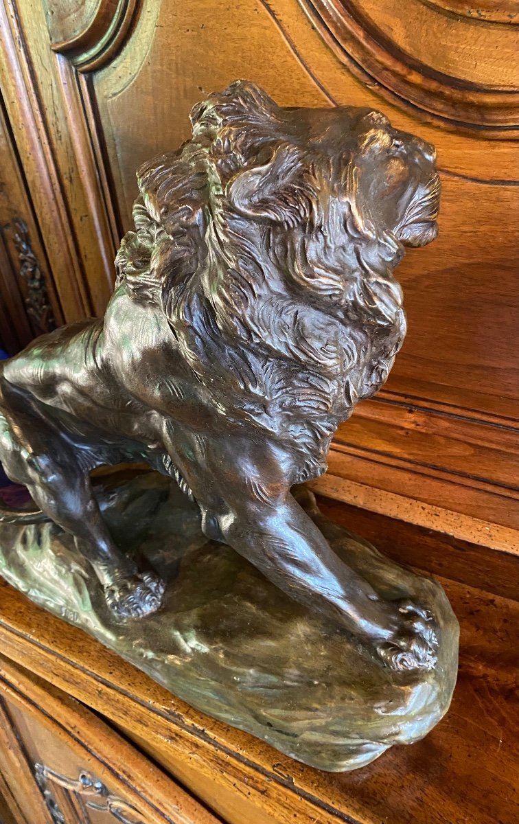 Impressive Terracotta Lion With Two Patinas, Signed -photo-8