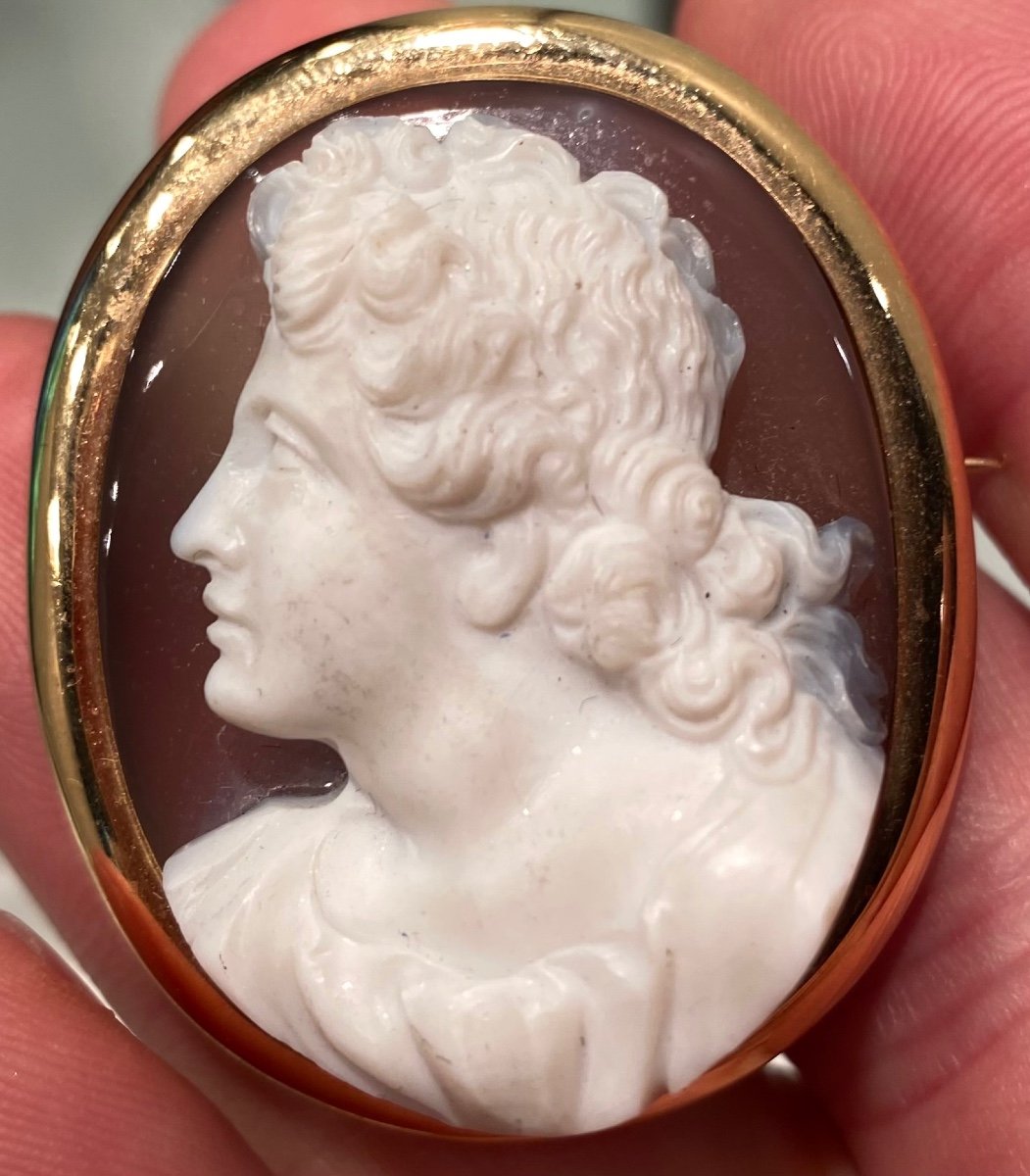 Superbe Camée à L’antique Profil D’un Jeune Homme Monté En Broche Du XIX Eme Siècle 