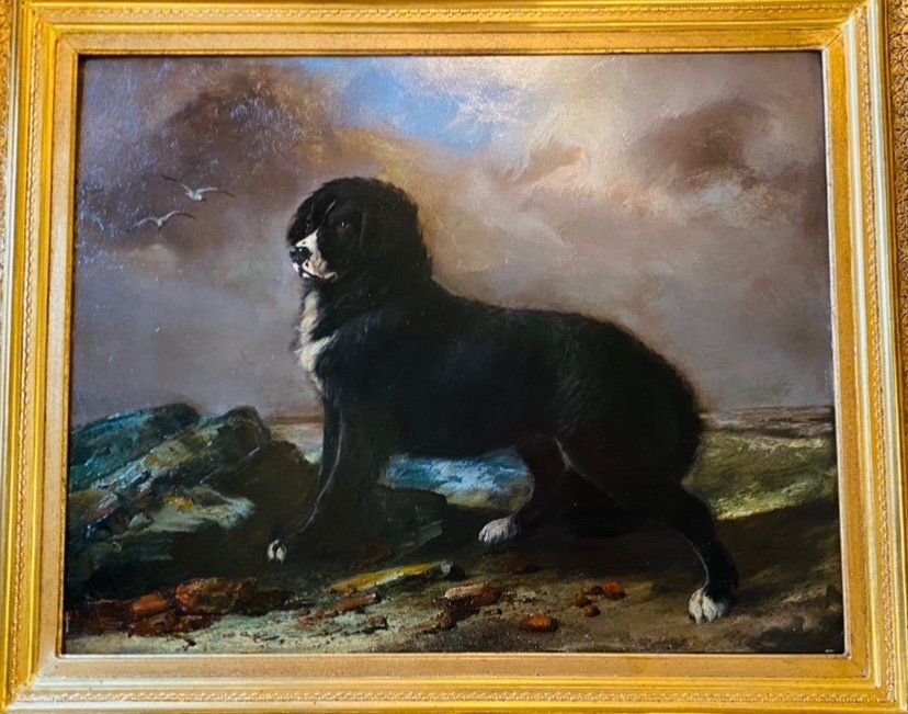 Terre-neuve en bord de mer, Du XIX Eme Siècle, D’après Sir Edwin Henry Landseer (1802-1873)-photo-5