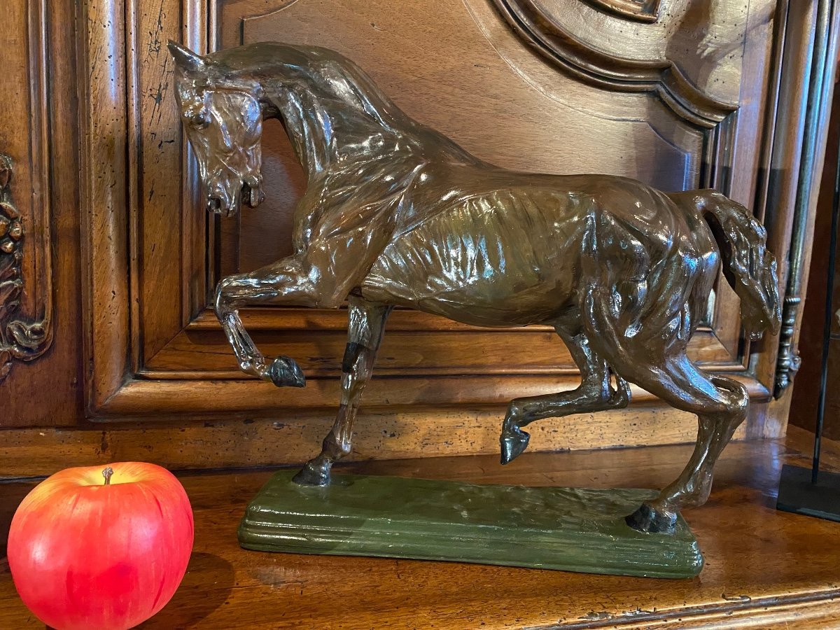 Le Cheval écorché D’après Isidore Bonheur, Fin Du XIX Eme Siècle -photo-2