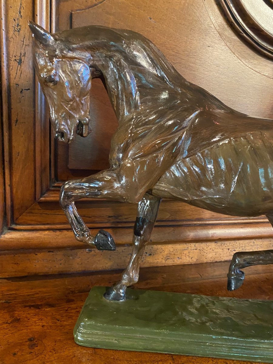 Le Cheval écorché D’après Isidore Bonheur, Fin Du XIX Eme Siècle -photo-3