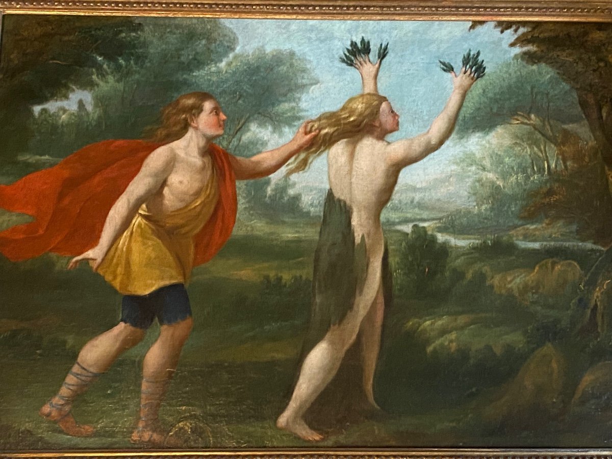 Apollon Et Daphné Huile Sur Toile De La Fin Du XVIIème Siècle d'Après Les Métamorphoses d'Ovide-photo-3