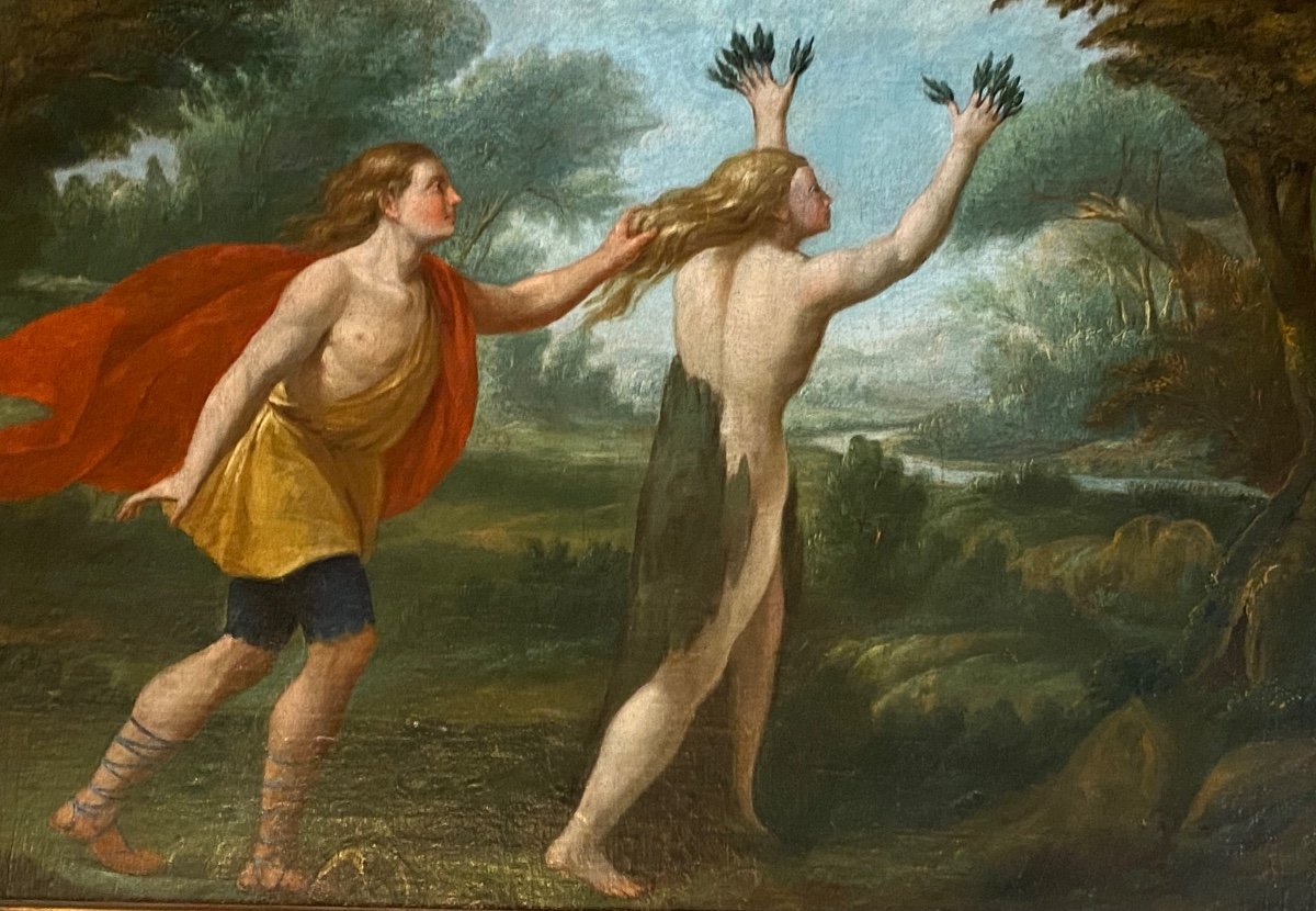 Apollon Et Daphné Huile Sur Toile De La Fin Du XVIIème Siècle d'Après Les Métamorphoses d'Ovide-photo-4