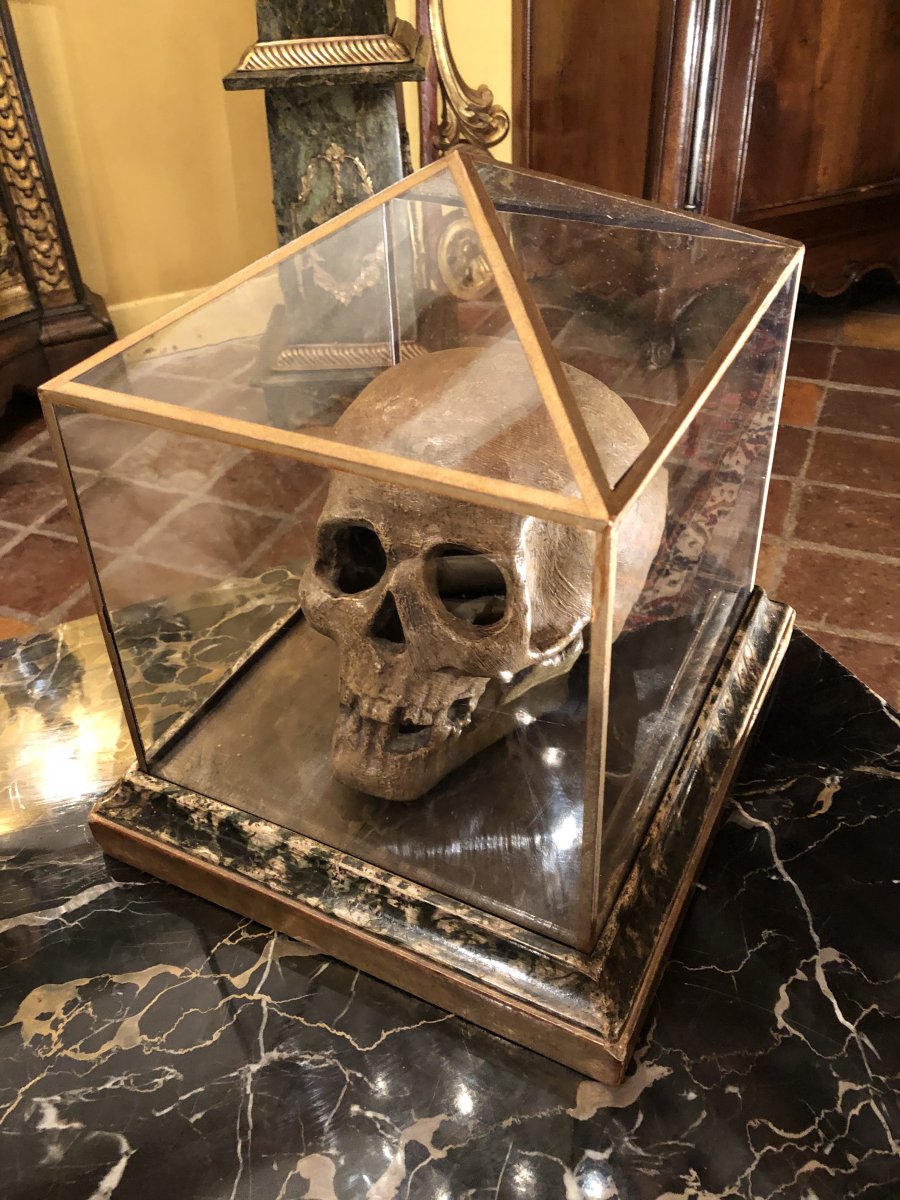 Grand Crâne, Vanité, Memento Mori, En Terre Cuite Du XIXe Siècle Et Sa Vitrine -photo-3