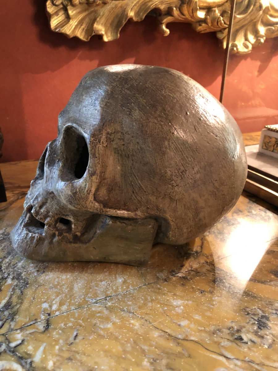 Grand Crâne, Vanité, Memento Mori, En Terre Cuite Du XIXe Siècle Et Sa Vitrine -photo-3