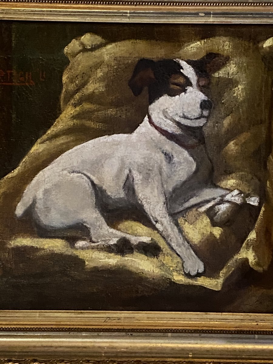 Portrait D’un Jack Russel, Huile Sur Toile Fin Du XIX Eme Siècle.-photo-2