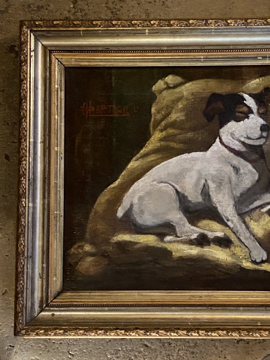 Portrait D’un Jack Russel, Huile Sur Toile Fin Du XIX Eme Siècle.-photo-3