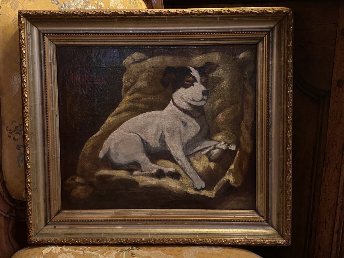 Portrait D’un Jack Russel, Huile Sur Toile Fin Du XIX Eme Siècle.-photo-7