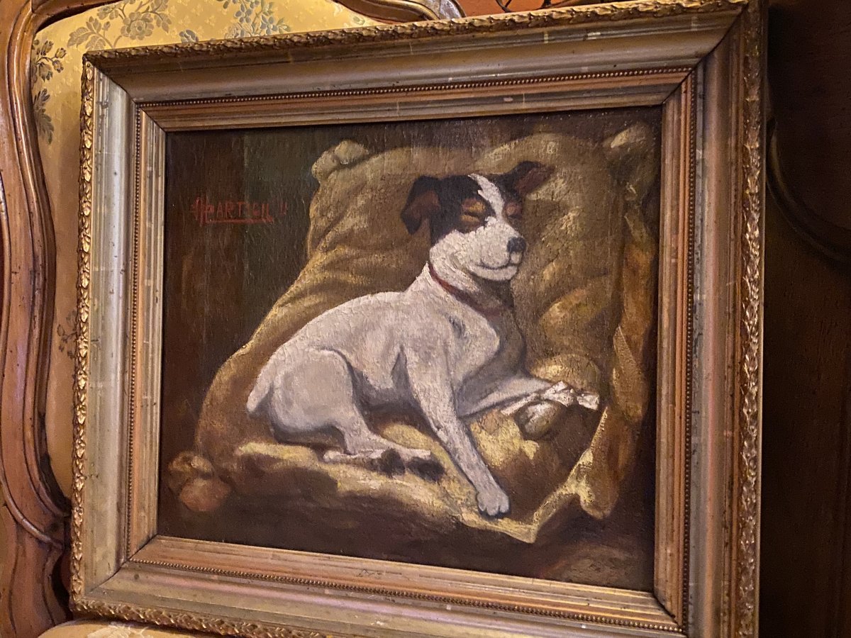 Portrait D’un Jack Russel, Huile Sur Toile Fin Du XIX Eme Siècle.-photo-8