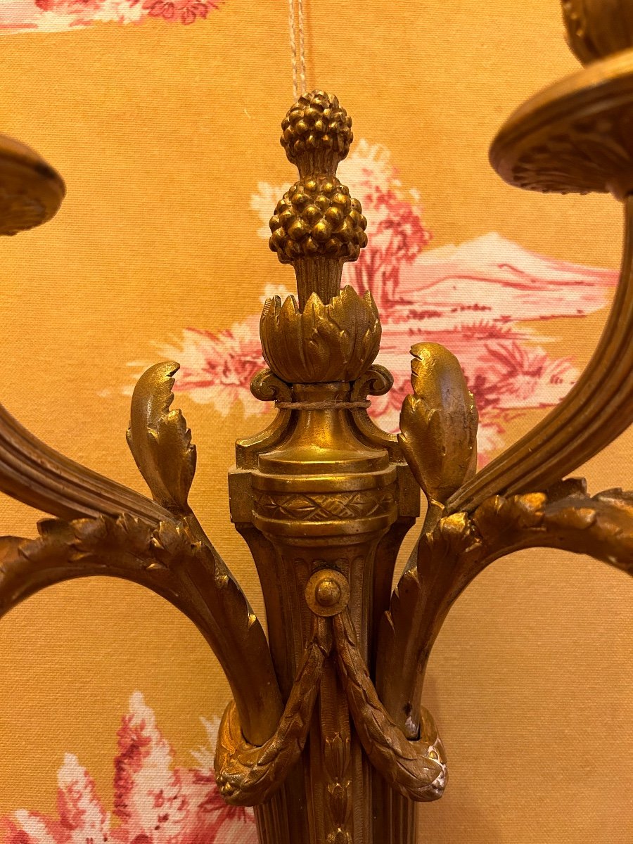 Pair Of Louis XVI Style Sconces-photo-2