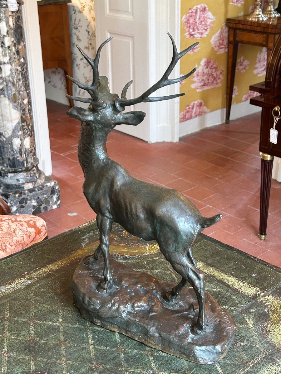 Large Bronze Deer With Ten Horns And Brown Patina Signed T. Cartier-photo-3