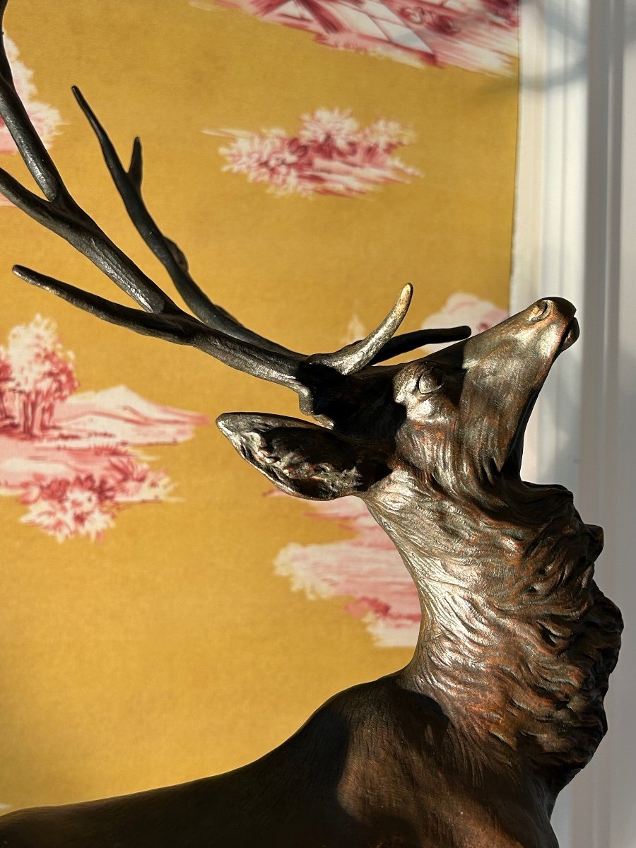 Large Bronze Deer With Ten Horns And Brown Patina Signed T. Cartier-photo-4